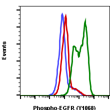 Phospho-EGFR (Tyr1068) (E5) rabbit mAb APC conjugate