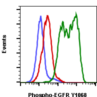 Phospho-EGFR (Tyr1068) (E5) rabbit mAb PE conjugate