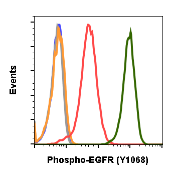 Phospho-EGFR (Tyr1068) (E5) rabbit mAb Antibody