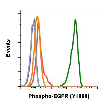 Phospho-EGFR (Tyr1068) (E5) rabbit mAb Antibody