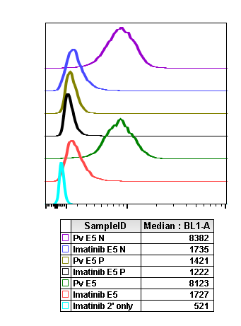 Phospho-EGFR (Tyr1068) (E5) rabbit mAb