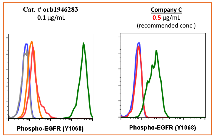 Phospho-EGFR (Tyr1068) (E5) rabbit mAb Antibody