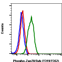 Phospho-Zap70 (Tyr319)/Syk (Tyr352) (A3) rabbit mAb SureLight 488 conjugate