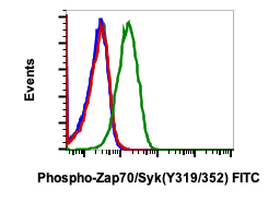 Phospho-Zap70 (Tyr319)/Syk (Tyr352) (A3) rabbit mAb FITC conjugate