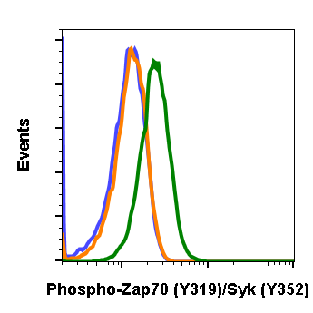 Phospho-Zap70 (Tyr319)/Syk (Tyr352) (A3) rabbit mAb