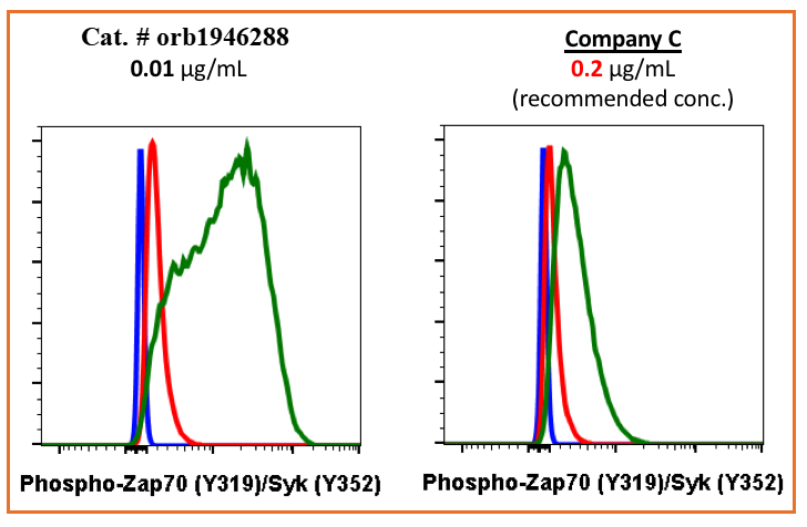 Phospho-Zap70 (Tyr319)/Syk (Tyr352) (A3) rabbit mAb Antibody