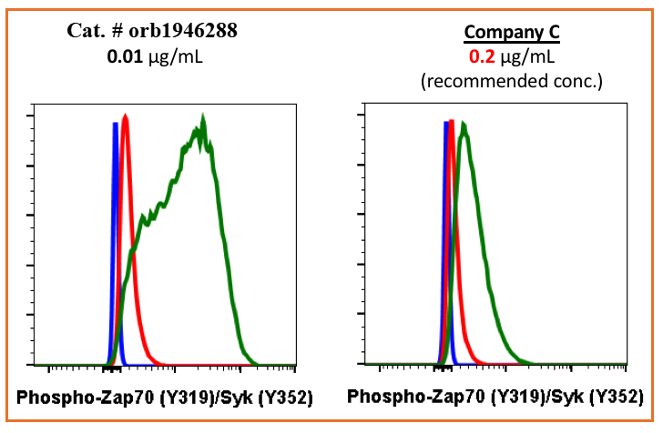 Phospho-Zap70 (Tyr319)/Syk (Tyr352) (A3) rabbit mAb