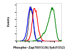 Phospho-Zap70 (Tyr319)/Syk (Tyr352) (A3) rabbit mAb