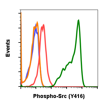 Phospho-Src (Tyr416) (C4) rabbit mAb Antibody