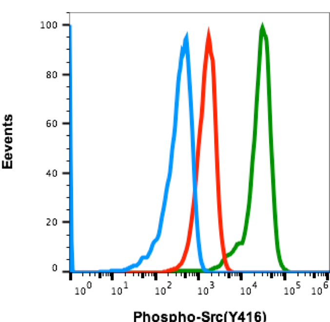 Phospho-Src (Tyr416) (C4) rabbit mAb Antibody