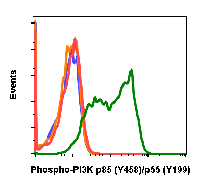 Phospho-PI3 Kinase p85 (Tyr458)/p55 (Tyr199) (1A11) rabbit mAb Antibody