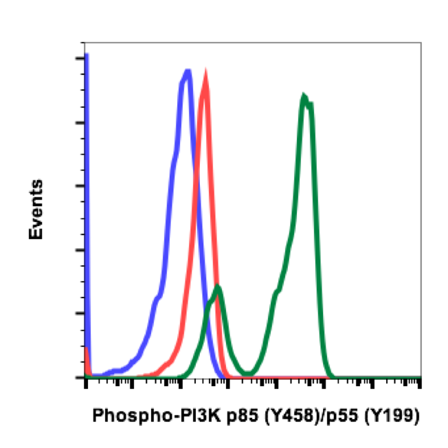 Phospho-PI3 Kinase p85 (Tyr458)/p55 (Tyr199) (1A11) rabbit mAb Antibody