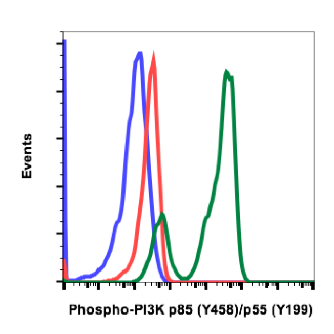 Phospho-PI3 Kinase p85 (Tyr458)/p55 (Tyr199) (1A11) rabbit mAb