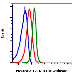 Phospho-ATF2 (Thr71) (G3) rabbit mAb FITC conjugate