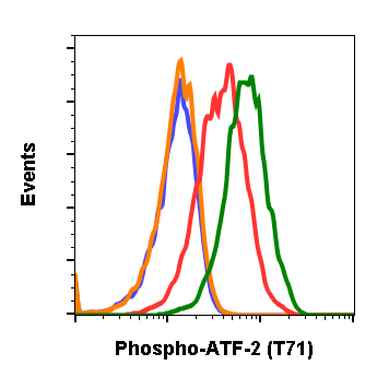 Phospho-ATF2 (Thr71) (G3) rabbit mAb