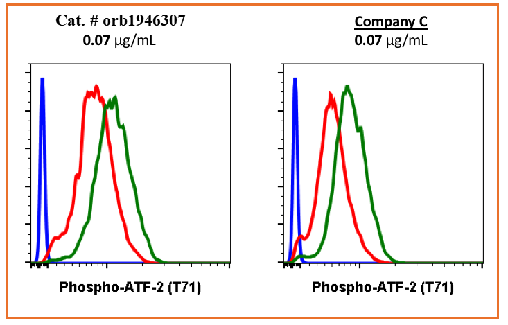 Phospho-ATF2 (Thr71) (G3) rabbit mAb