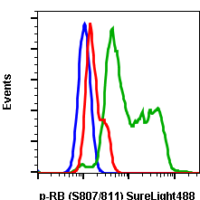 Phospho-Rb (Ser807/811) rabbit mAb SureLight488 conjugate Antibody