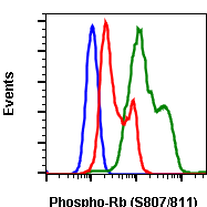 Phospho-Rb (Ser807/811) rabbit mAb Antibody