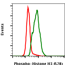 Phospho-Histone H3 (Ser28) (D6) rabbit mAb PE conjugate