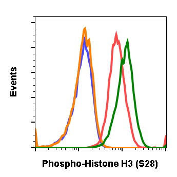Phospho-Histone H3 (Ser28) (D6) rabbit mAb