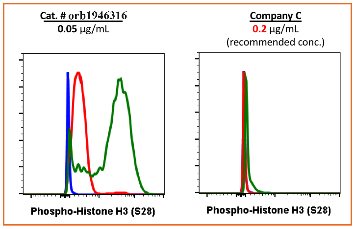 Phospho-Histone H3 (Ser28) (D6) rabbit mAb Antibody