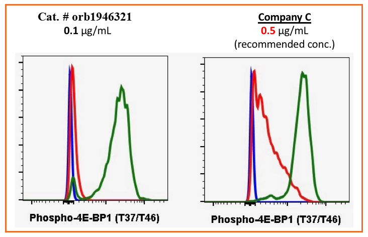 Phospho-4E-BP1 (Thr37/46) (A5) rabbit mAb Antibody