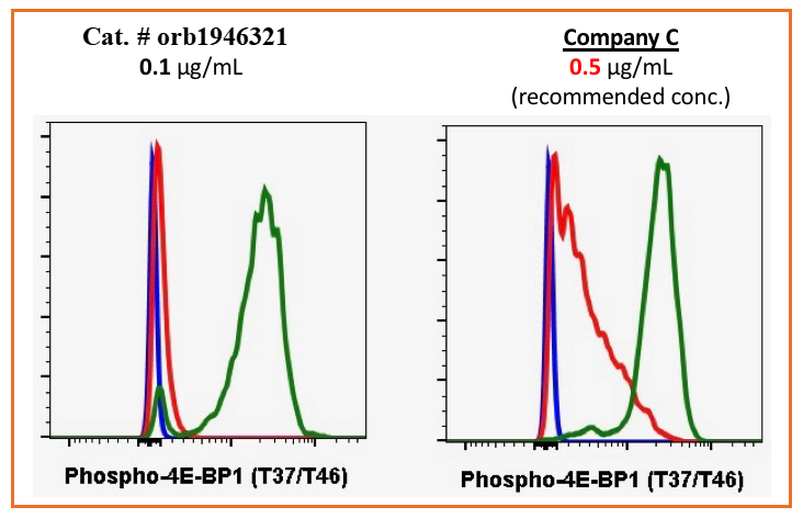 Phospho-4E-BP1 (Thr37/46) (A5) rabbit mAb