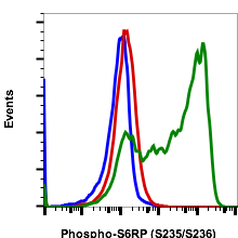 Phospho-S6 Ribosomal Protein (Ser235/236) (R3A2) rabbit mAb