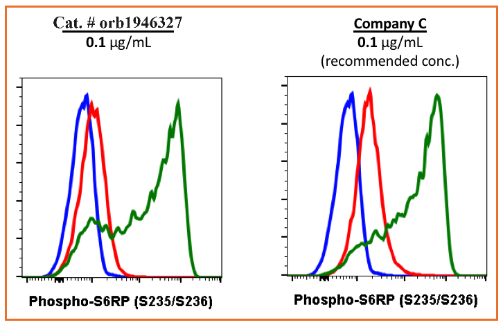 Phospho-S6 Ribosomal Protein (Ser235/236) (R3A2) rabbit mAb