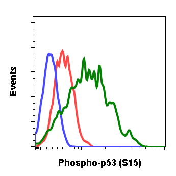 Phospho-p53 (Ser15) (1C11) rabbit mAb Antibody