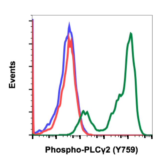 Phospho-PLCg2 (Tyr759) (G3) rabbit mAb Antibody