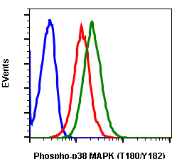 Phospho-p38 MAPK (Thr180/Tyr182) (E3) rabbit mAb SureLight488 Conjugate