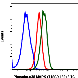 Phospho-p38 MAPK (Thr180/Tyr182) (E3) rabbit mAb FITC conjugate
