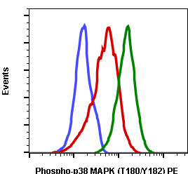 Phospho-p38 MAPK (Thr180/Tyr182) (E3) rabbit mAb PE conjugate