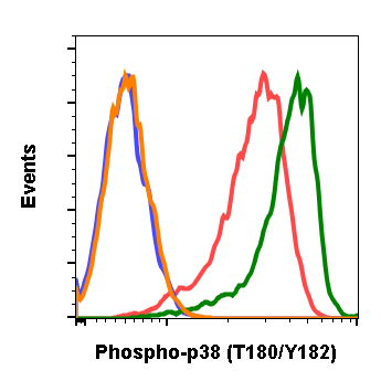 Phospho-p38 MAPK (Thr180/Tyr182) (E3) rabbit mAb