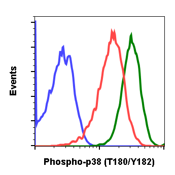 Phospho-p38 MAPK (Thr180/Tyr182) (E3) rabbit mAb Antibody