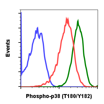 Phospho-p38 MAPK (Thr180/Tyr182) (E3) rabbit mAb