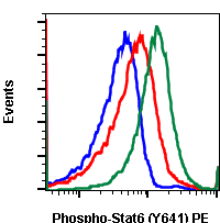 Phospho-Stat6 (Tyr641) rabbit mAb PE conjugate