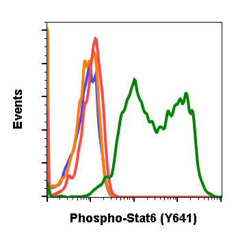 Phospho-Stat6 (Tyr641) (G12) rabbit mAb Antibody