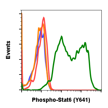 Phospho-Stat6 (Tyr641) (G12) rabbit mAb