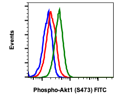 Phospho-Akt1 (Ser473) (C7) rabbit mAb FITC conjugate Antibody