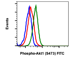 Phospho-Akt1 (Ser473) (C7) rabbit mAb FITC conjugate