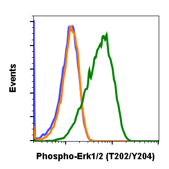 Phospho-p44/42 MAPK (Erk1/2) (Thr202/Tyr204) (A11) rabbit mAb Antibody