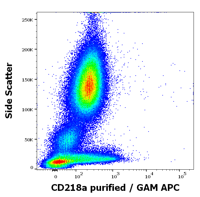Anti-Hu CD218a Purified