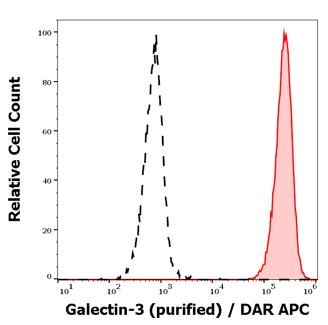 Galectin-3 Antibody