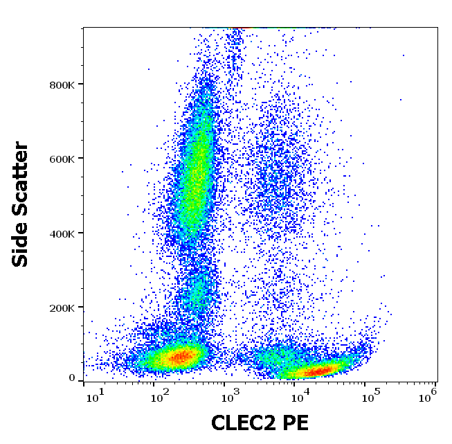 CLEC2 Antibody (PE)