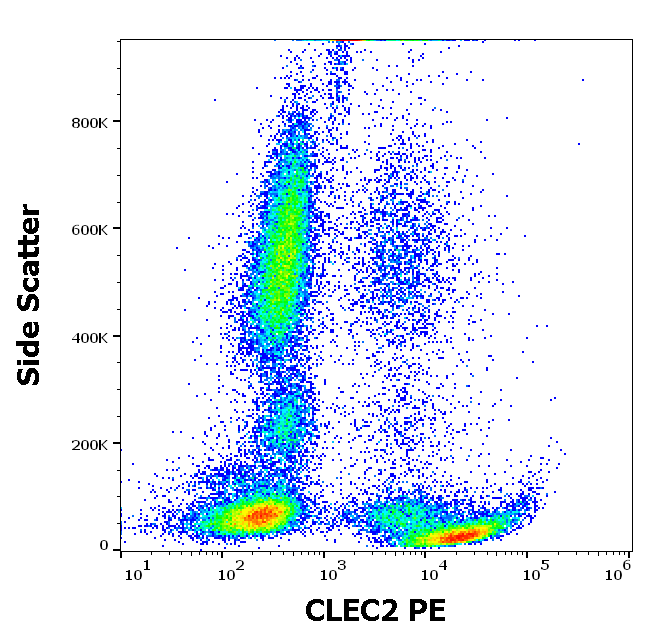 Anti-Hu CLEC2 PE
