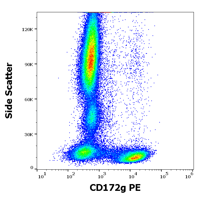 CD172g Antibody (PE)
