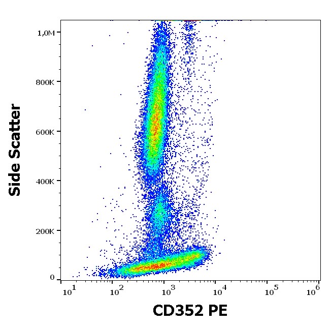CD352 Antibody (PE)