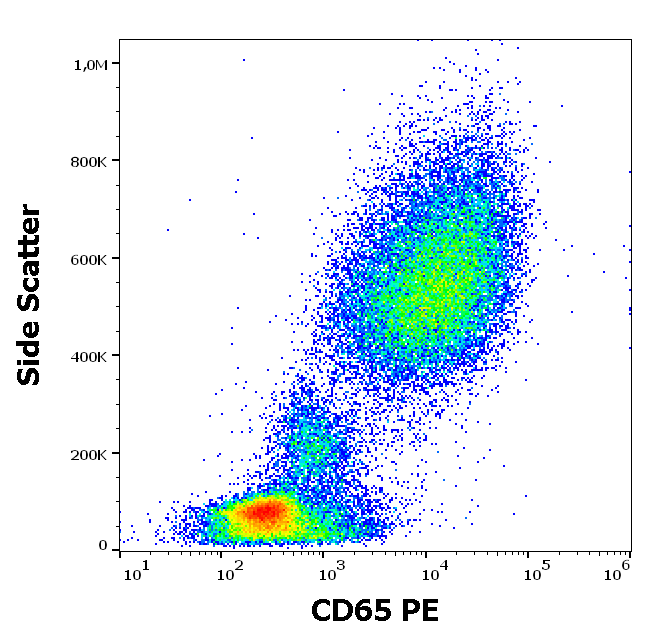 CD65 Antibody (PE)